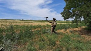 Операторы FPV-дронов сорвали ротацию и уничтожили технику ВСУ в ДНР