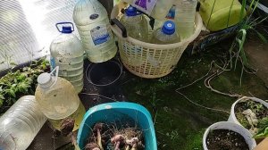 садовый участок на 23.09.2025. Свердловская область Среднеуральск