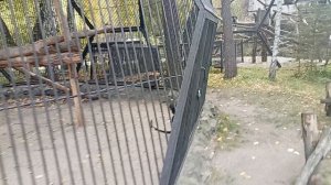 1000005457.mp4 Зоопарк