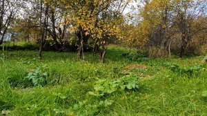 Походил я по свету немало...