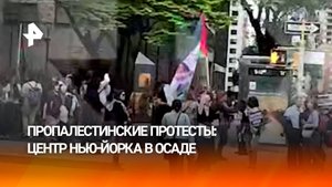 Митинги в поддержку Палестины прошли в Нью-Йорке, вогнав центр города в "осадное положение"