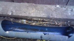 Обзор нашей коллективной поилки для кур