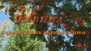 РЯБИНА - проста, как русская душа