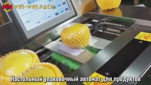 Настольный упаковщик продуктов WIN WIN PACK | Идеально подходит для ресторанов