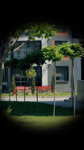 Polaroid-заметки смотреть онлайн