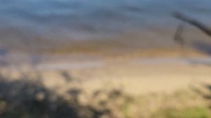 ПРОЩАНИЕ с ЛЕТОМ 2025