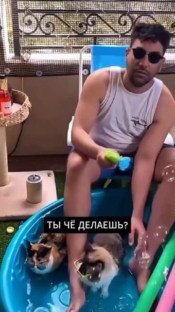 2025-09-23 смотреть онлайн