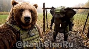 Занимаемся спортом 💪