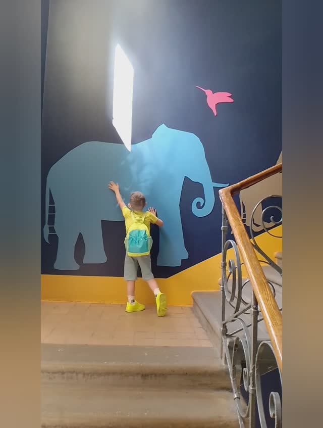 Зоологический музей 04.06.2024