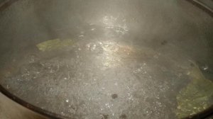 Маринованная молодая кукуруза на зиму