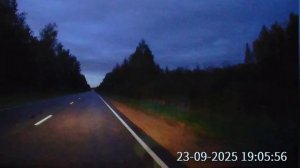 Жёп лосяша переходящего дорогу 😅