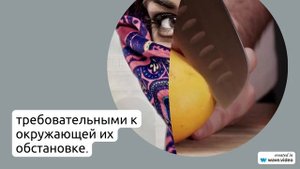 История и происхождение фамилии Аланго: узнайте значение и правильное склонение