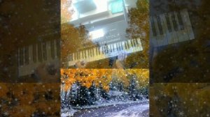 Утренний снег