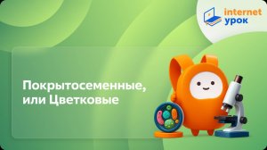 Покрытосеменные, или Цветковые. Видеоурок по биологии 5 класс