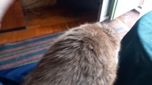 23 сентября 2025. Спасаю книги. Разговоры.