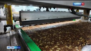 Вести-Томск, выпуск от 23.09.2025 11:30