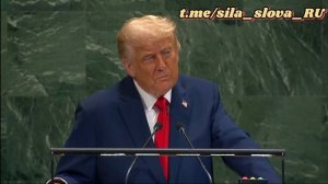 США введут санкции и тарифы если Европа присоединится — Трамп про давление на Россию