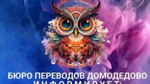 БПД-информирует: частые проблемы с приложением «Амина» — рассказываем как их решить