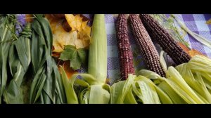 Весна, лето, осень. Золотой луг.mp4