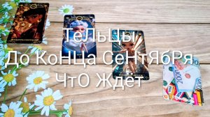 #ТЕЛЬЦЫ ТАРО-ПРОГНОЗ ЧТО ЖДЁТ ДО КОНЦА СЕНТЯБРЯ.. ⁉️