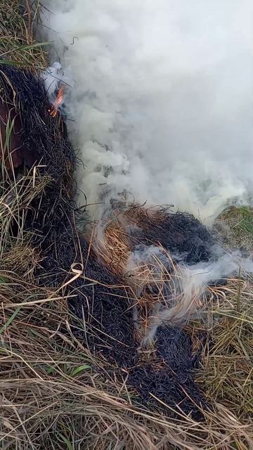 эшафот. net смотреть онлайн