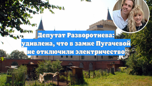 Депутат Разворотнева: удивлена, что в замке Пугачевой не отключили электричество