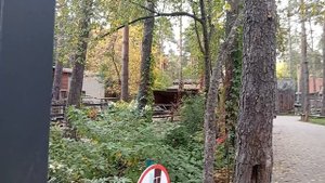 1000006284.mp4 Редкие кадры лечения животного в Новосибирском зоопарке