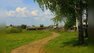 Белая берёза