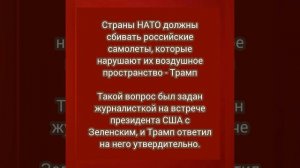 Страны НАТО должны сбивать российские самолеты, которые нарушают их воздушное пространство
