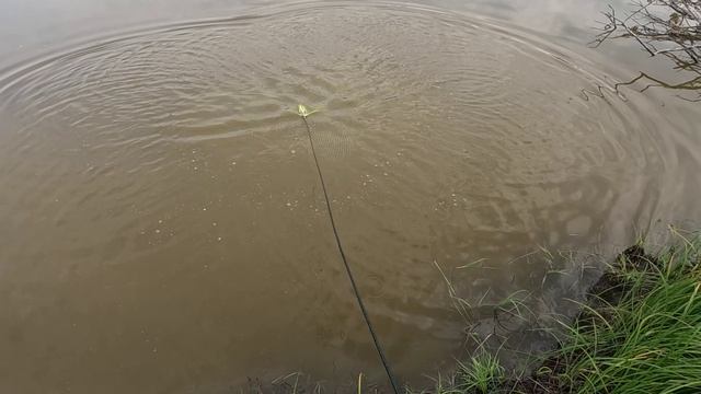 рыбалка на кастинговую сеть смотреть онлайн