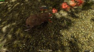 Gothic 2 2025.09.23 - 23.14.47.15