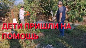 774 Всех дел не переделать. Дети уезжают.Загорелась электричка