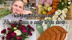 Секрет салата «Оливье»👩🍳Изменения в саду и на даче🏢🏡