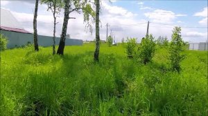 Продажа земельного участка на Авито