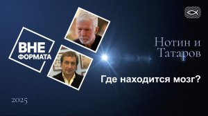 Где находится мозг?