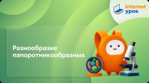 Разнообразие папоротникообразных. Видеоурок по биологии 5 класс