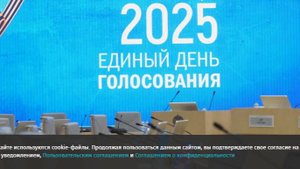 В Кремле положительно оценили результаты проведения единого дня голосования