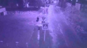 Медведь угрожал жителям Паланы