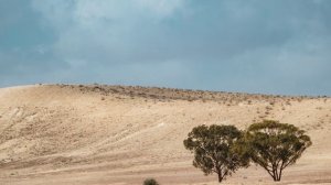 23. БЛАГОСЛОВЛЯЙТЕ БЛАГОСЛОВЕНИЕ _Числа_КТ, Миссионерский центр "Сонрак – Святая радость"