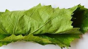 Маринованные виноградные листья для долмы