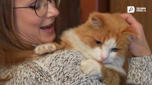 Не покладая лапки: Трудолюбивый кот Режик живет и работает в Доме актера