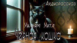Уильям Уитл - Чёрная Кошка ( Аудио рассказ )