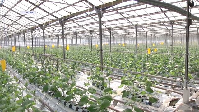 БЗ Глава и депутаты Госдумы РАСУЛ