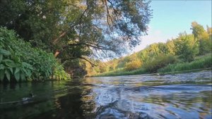 Куликово поле. Река Непрядва. Подводный мир