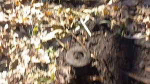 Отдых с прибором. Семейный поход на старый фундамент.