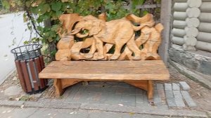 1000005528.mp4 Скамейка