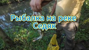 Рыбалка на реке Седяк, август 2025