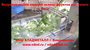 Вихревая пузырьковая мойка овощей зелени фруктов поточного типа линия мойки зелени овощей салата