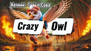 Главный ночной забег - Crazy Owl 50 / ночной трейл Сова
