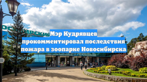 Мэр Кудрявцев прокомментировал последствия пожара в зоопарке Новосибирска